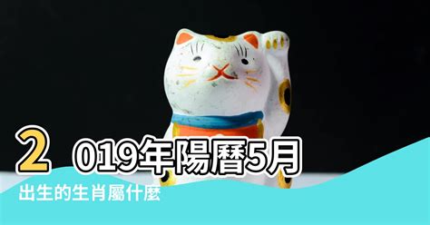 2019年屬什麼